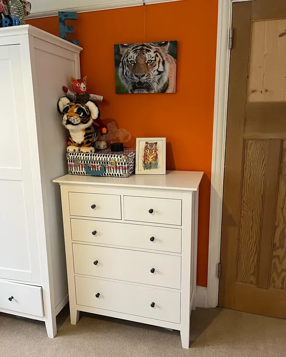 Dulux Moroccan Flame kids' room 