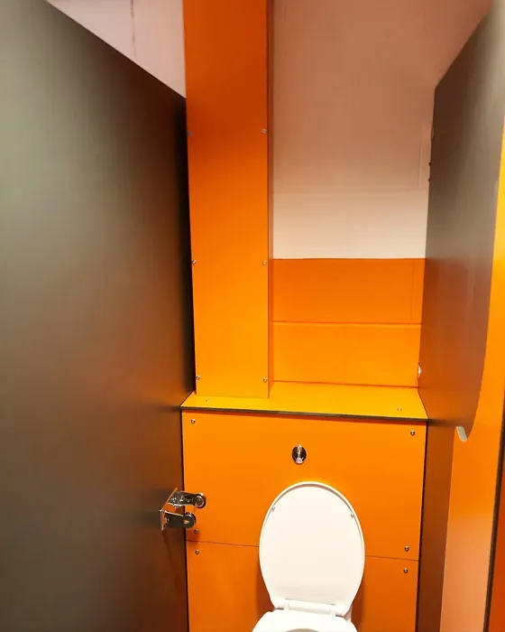 Dulux Moroccan Flame bathroom color