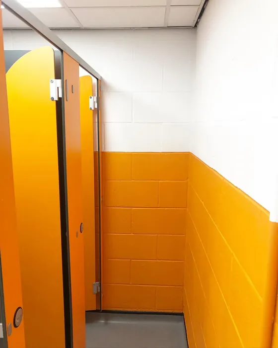 Dulux Moroccan Flame bathroom paint review