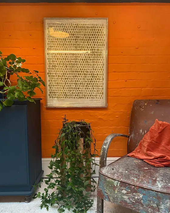 Dulux Moroccan Flame paint 