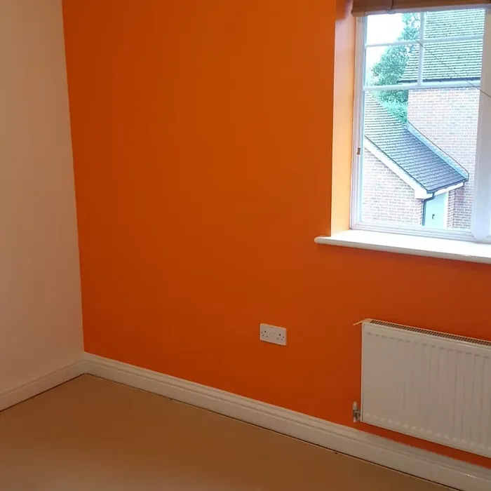 Dulux Moroccan Flame wall paint accent wall