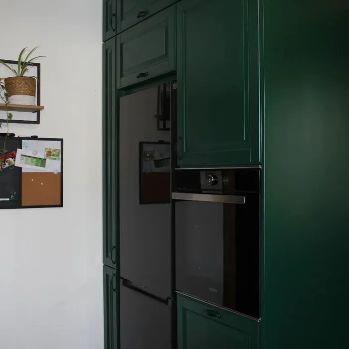 Dark green kitchen cabinet RAL 6005 Moss green