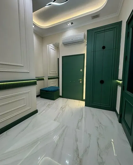 RAL Classic Moss Green door paint