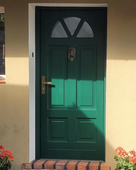 RAL Classic RAL 6005 front door paint