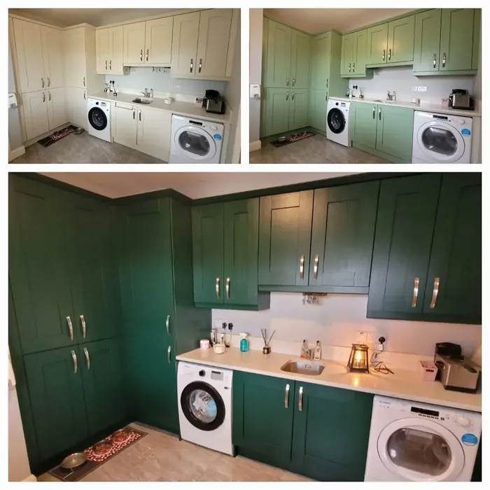 RAL Classic RAL 6005 kitchen cabinets picture