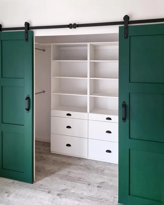 RAL 6005 door picture