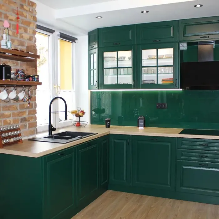 Dark green kitchen RAL 6005 color review