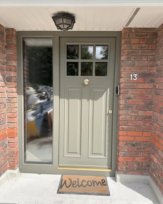  Moss grey front door color review