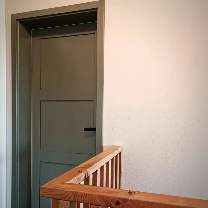  Moss grey door paint