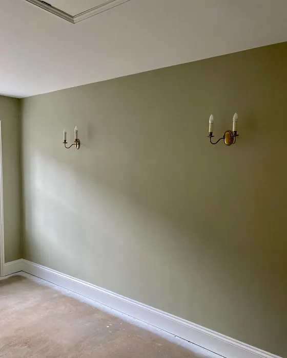 Dulux Mossy Stone wall paint 