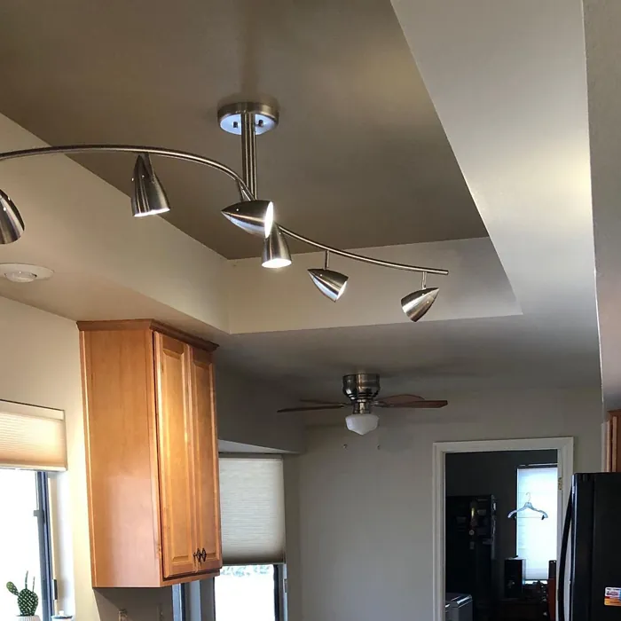 Sherwin Williams Moth Wing Ceiling