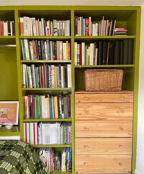 Dulux Mountain Moss painted furniture color