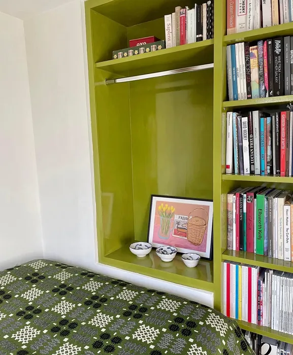 Dulux Mountain Moss painted furniture color review