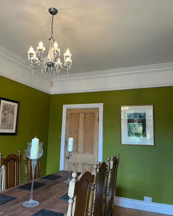 Dulux Mountain Moss dining room color review