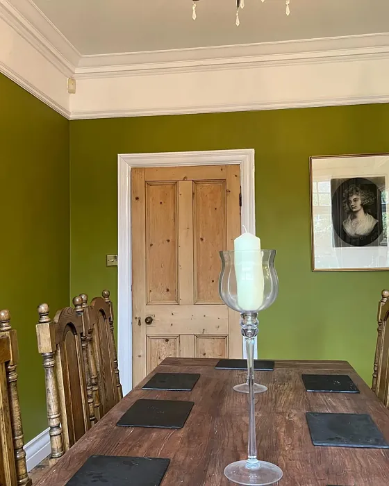 Dulux Mountain Moss dining room interior
