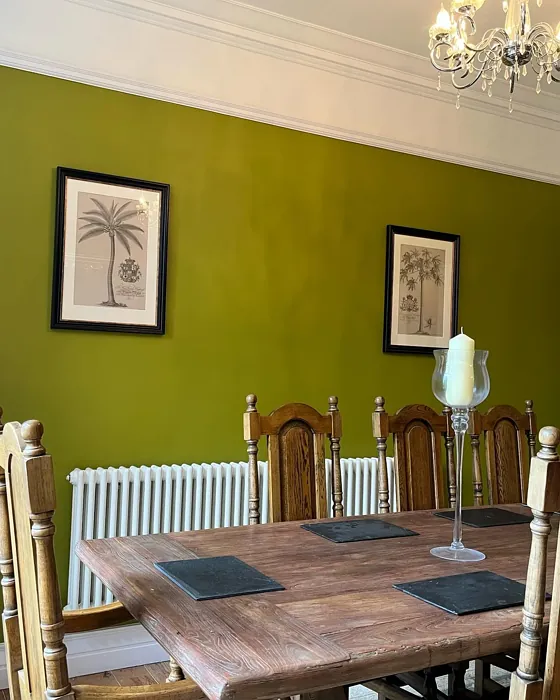 Dulux Mountain Moss dining room 