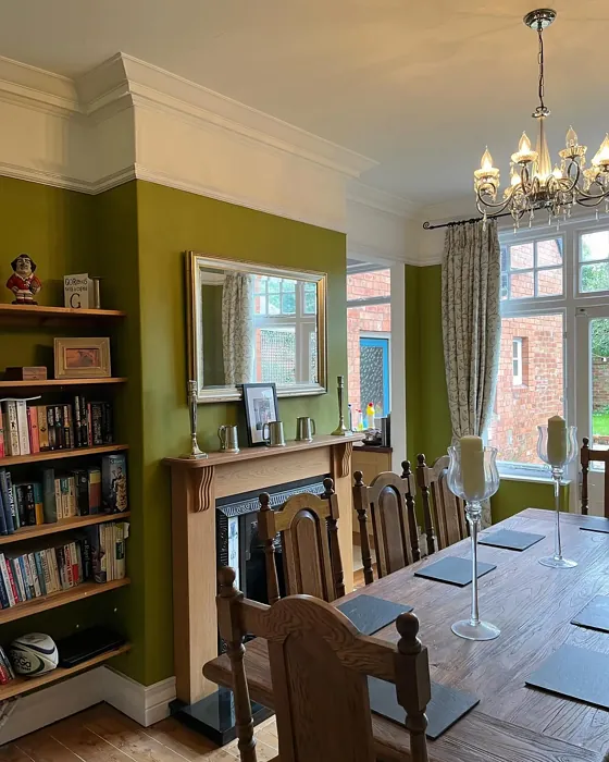 Dulux Mountain Moss dining room paint review