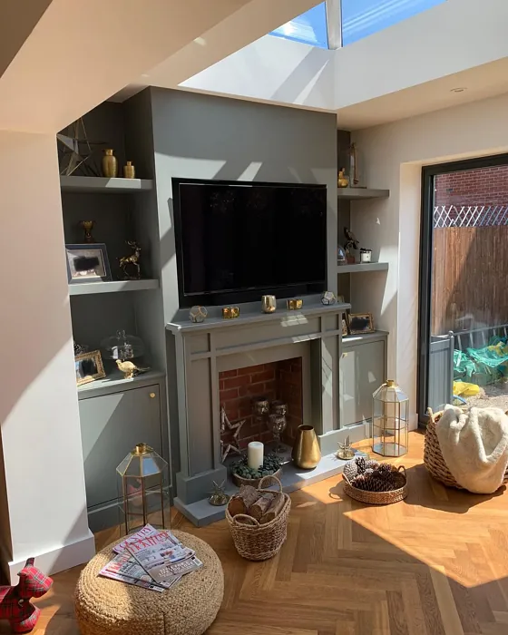 RAL 7005 living room fireplace 