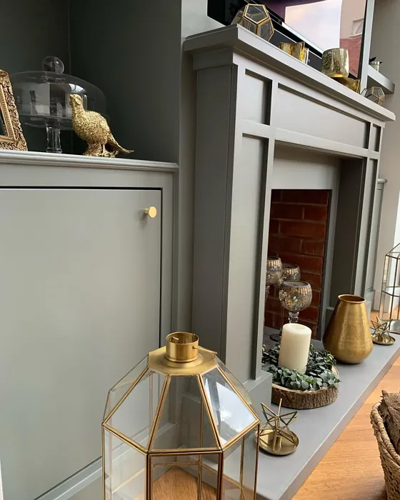 RAL 7005 living room fireplace color review