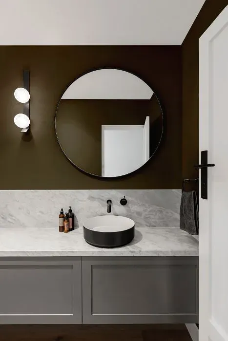 Sherwin Williams Muddled Basil minimalist bathroom