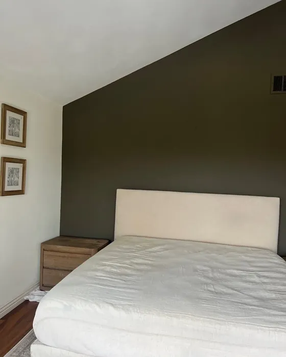 Sherwin Williams Muddled Basil bedroom accent wall 