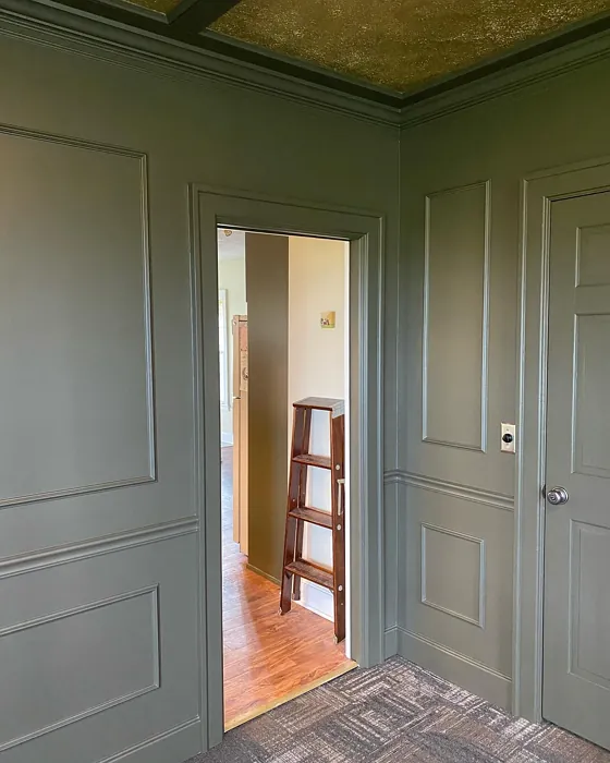 SW 7745 wall panelling paint review