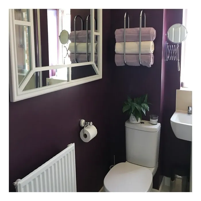 Dulux Mulberry Burst bathroom color