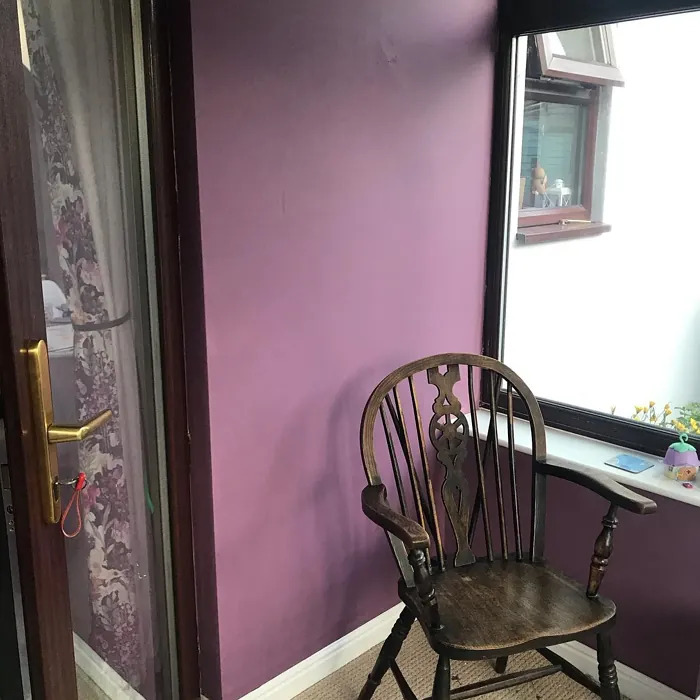 Dulux 10RR 09/150 wall paint review