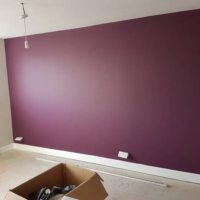 Dulux Mulberry Burst accent wall 