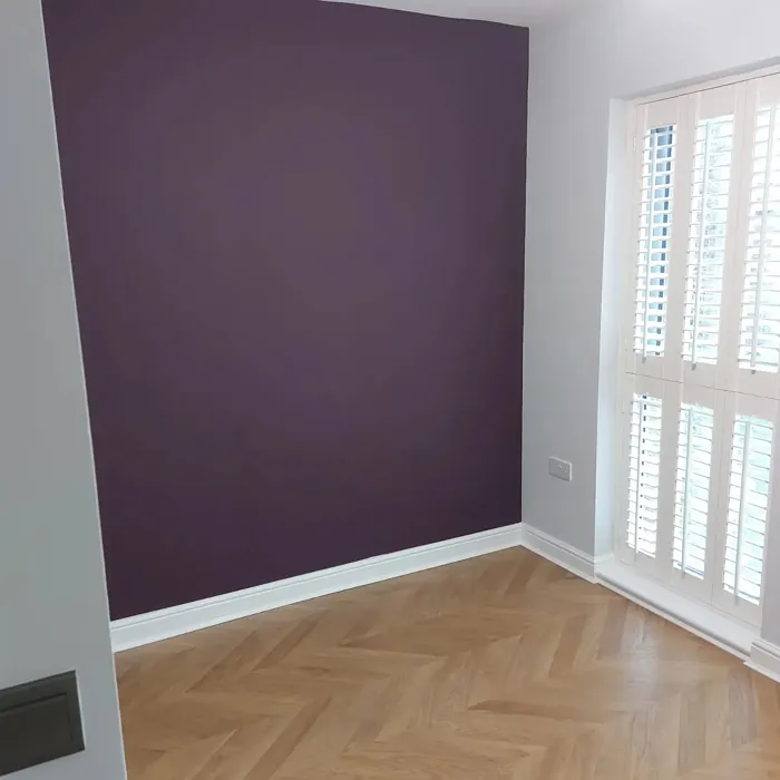 Dulux Mulberry Burst accent wall color review