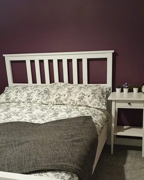 Dulux Mulberry Burst bedroom color