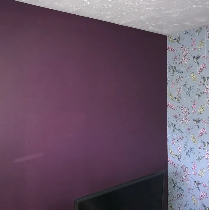 Dulux Mulberry Burst accent wall review