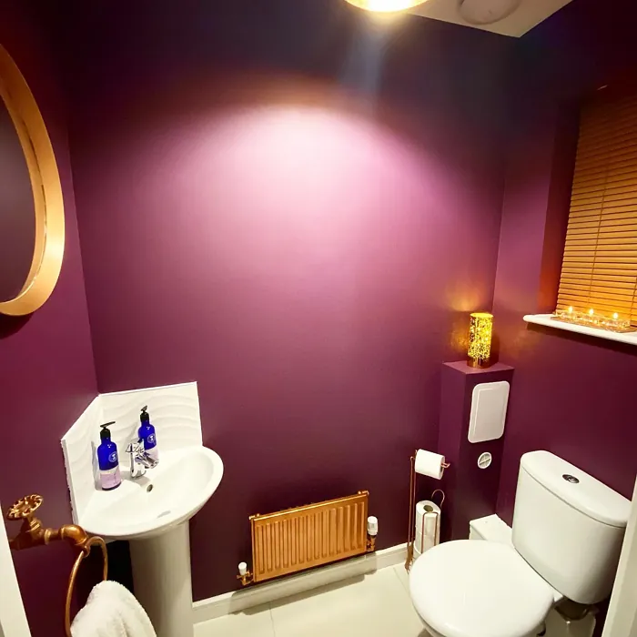 Dulux Mulberry Burst bathroom paint