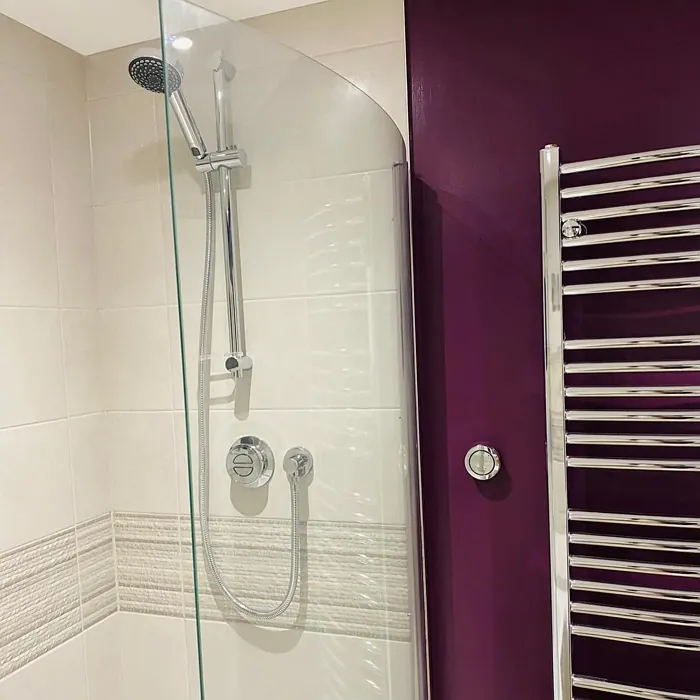 Dulux Mulberry Burst bathroom accent wall