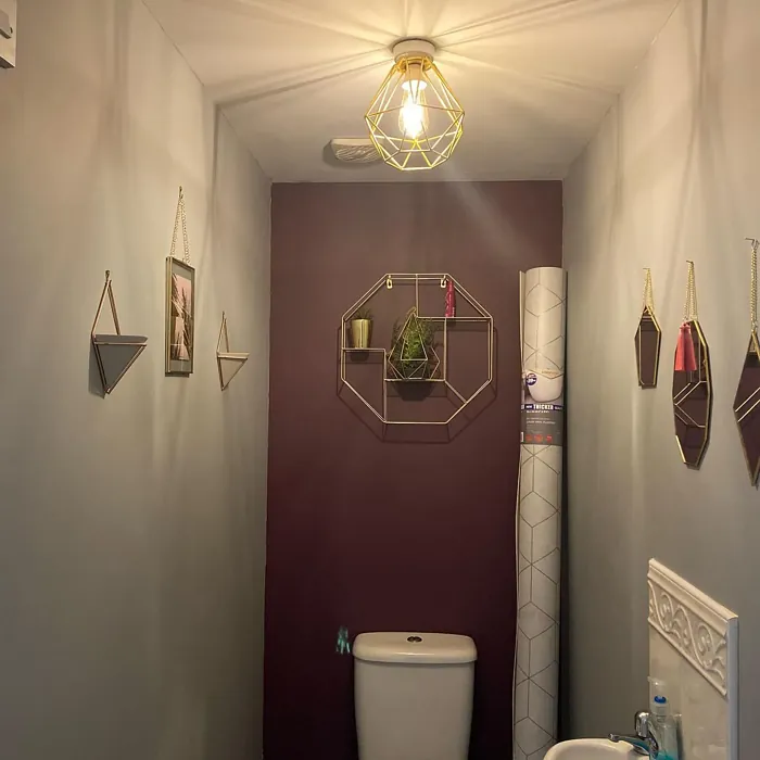 Dulux Mulberry Burst bathroom accent wall