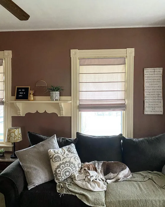 SW Mulberry Silk living room color