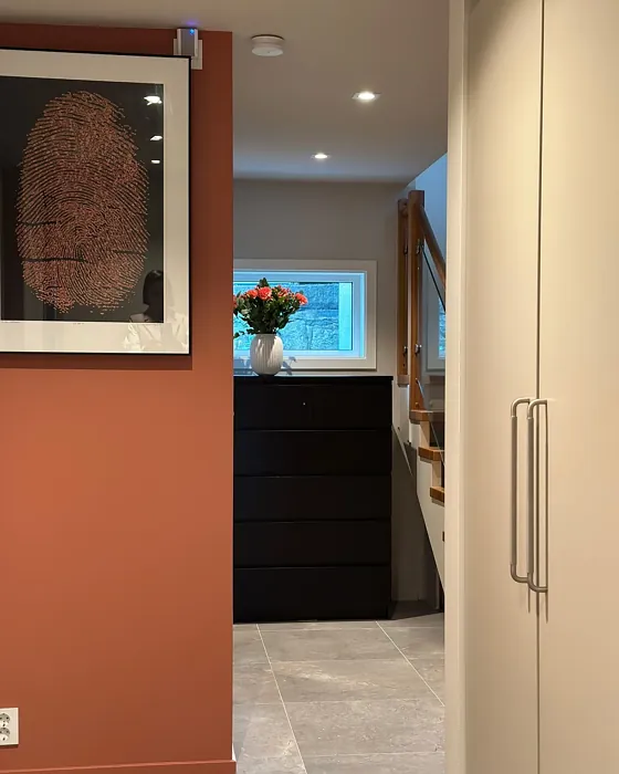 Jotun Muted Coral hallway accent wall