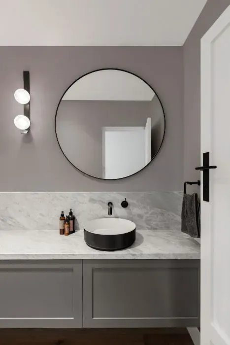 Sherwin Williams Mystical Shade minimalist bathroom