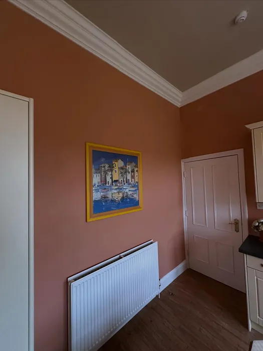 Farrow and Ball Naperon kitchen paint