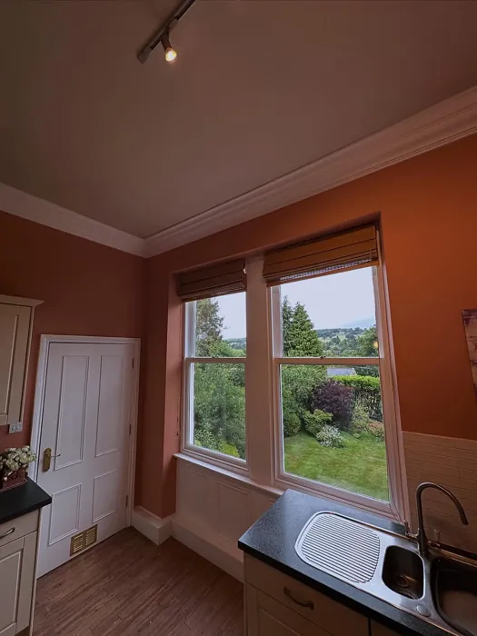 Farrow and Ball Naperon kitchen paint review