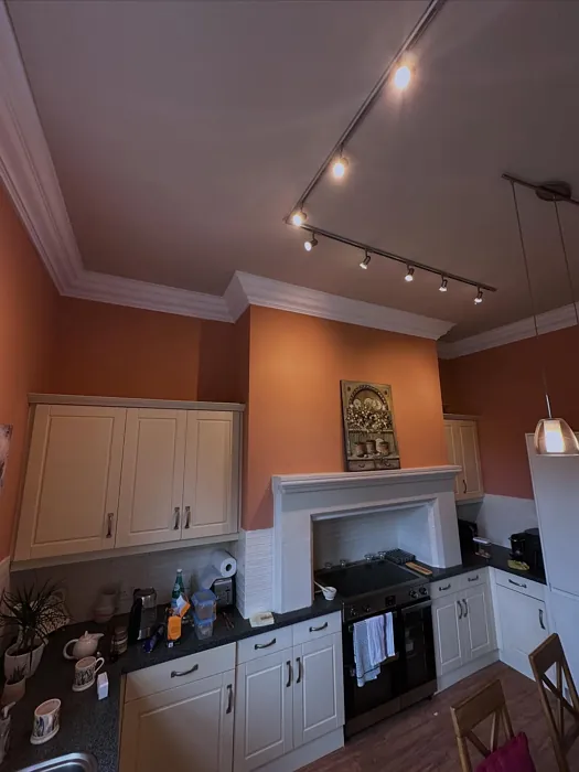 Farrow and Ball Naperon kitchen color