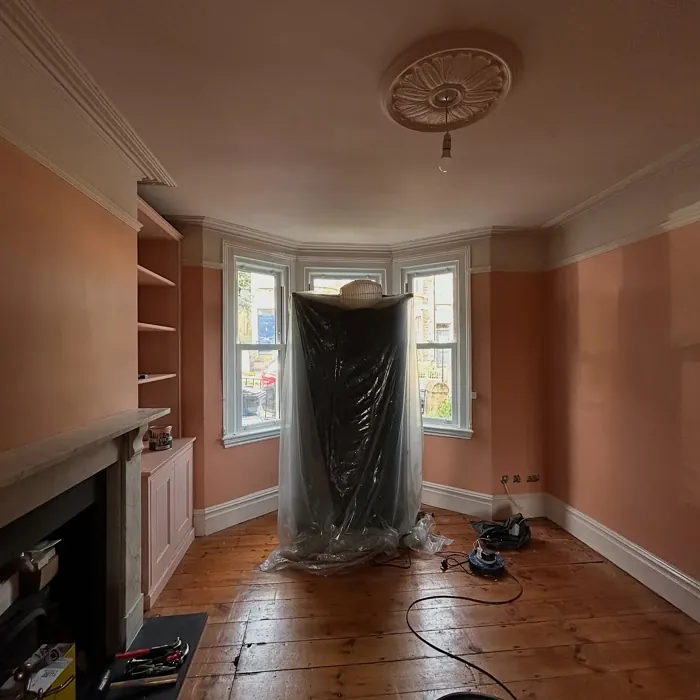 Farrow and Ball Naperon living room paint