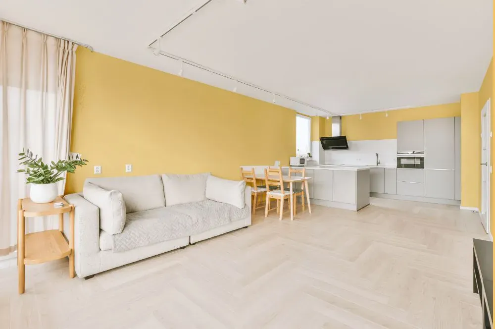 Sherwin Williams Naples Yellow living room interior