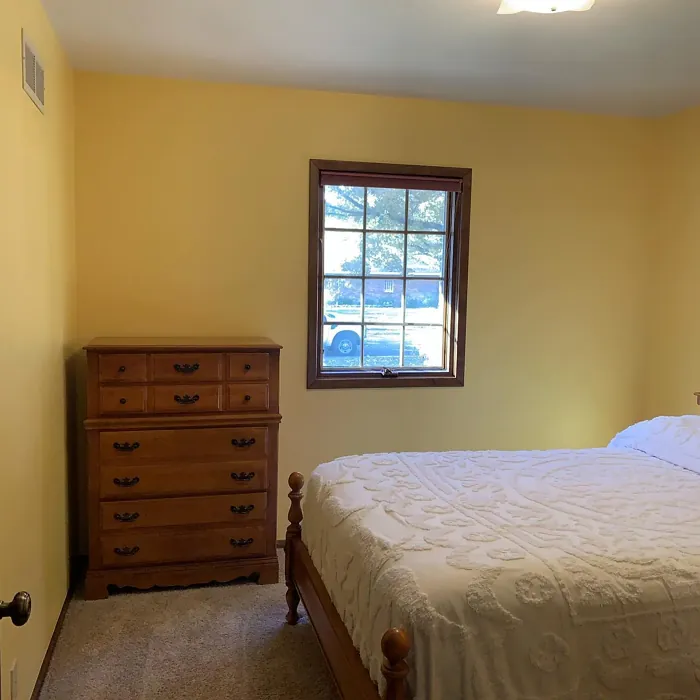 SW Naples Yellow bedroom interior