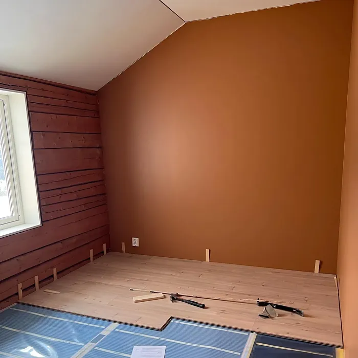 Jotun Natural Clay wall paint picture