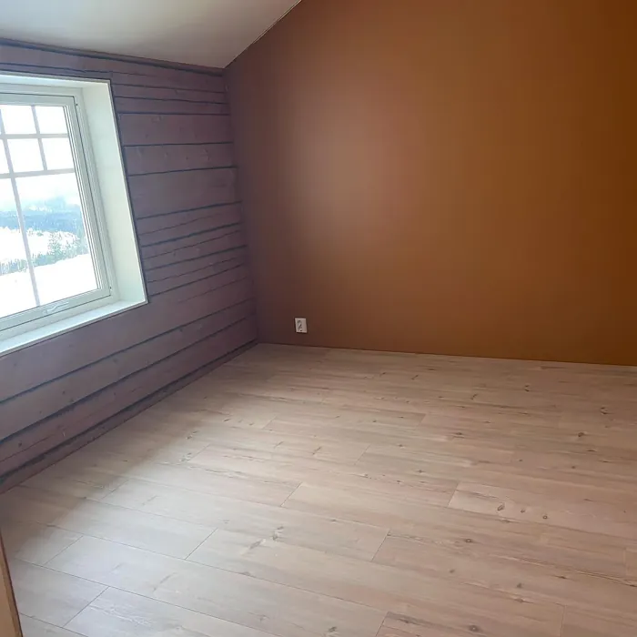 Jotun Natural Clay wall paint review