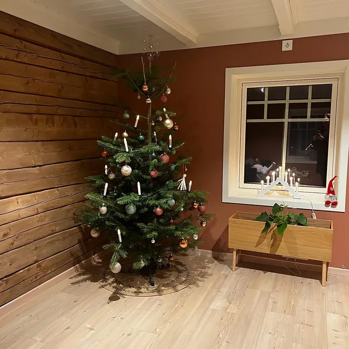 Jotun Natural Clay accent wall 