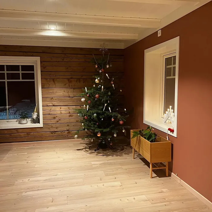 Jotun Natural Clay accent wall color