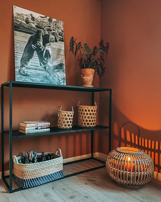 Jotun Natural Clay dining room color review