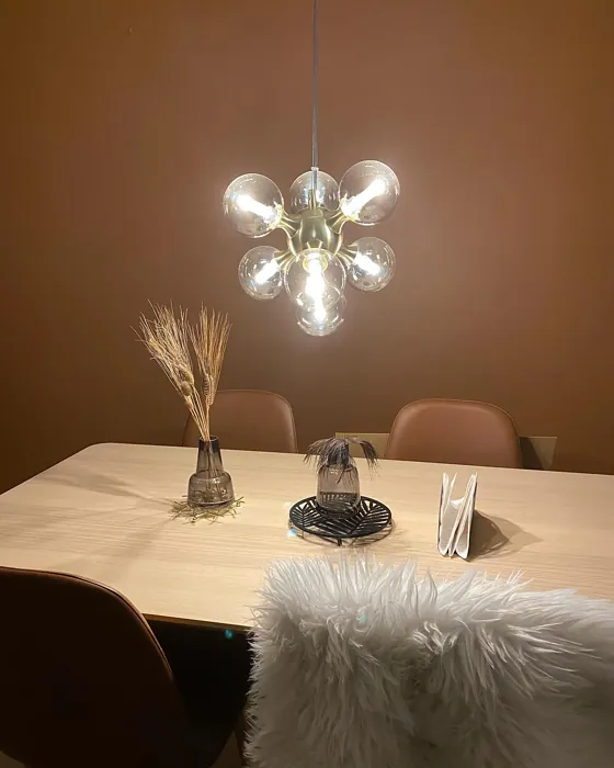 Jotun Natural Clay dining room paint review